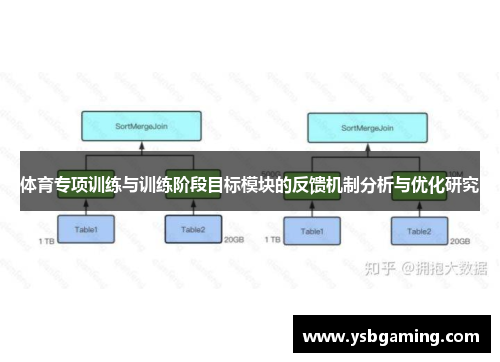 体育专项训练与训练阶段目标模块的反馈机制分析与优化研究