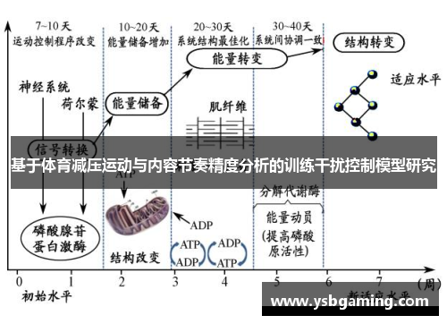 基于体育减压运动与内容节奏精度分析的训练干扰控制模型研究